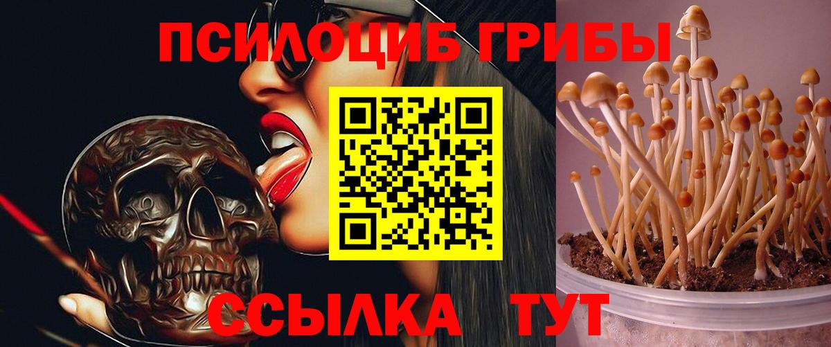 Галлюциногенные грибы MAGIC MUSHROOMS Щёлково